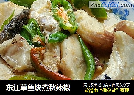 东江草鱼块煮秋辣椒