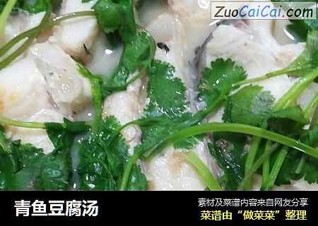 青鱼豆腐汤