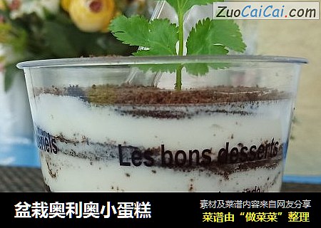 盆栽奥利奥小蛋糕