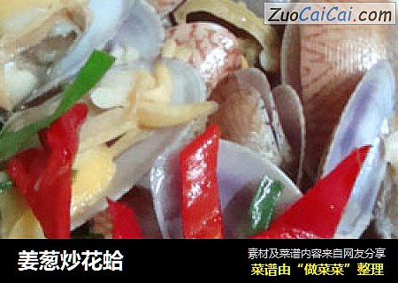 姜葱炒花蛤