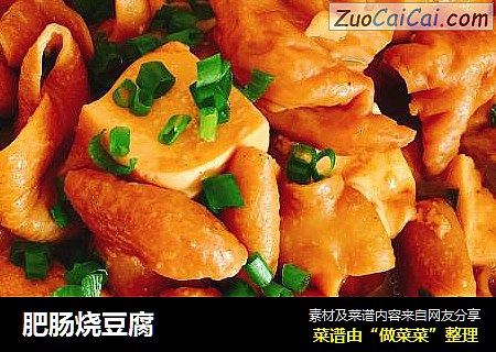 肥肠烧豆腐