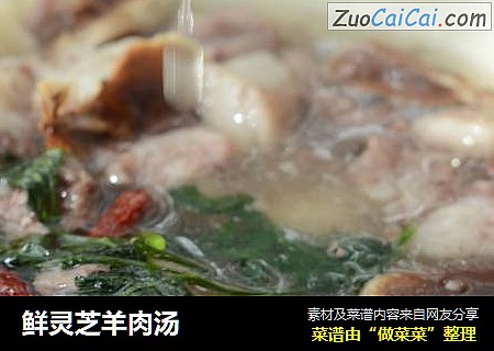 鲜灵芝羊肉汤