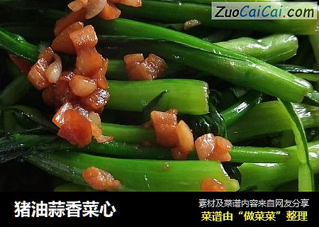 猪油蒜香菜心