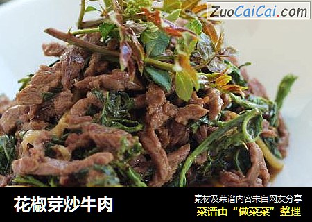 花椒芽炒牛肉