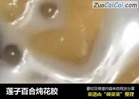 莲子百合炖花胶