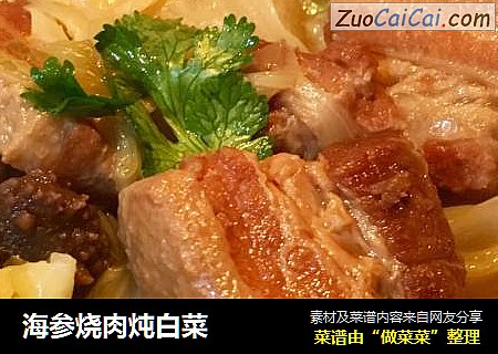 海参烧肉炖白菜