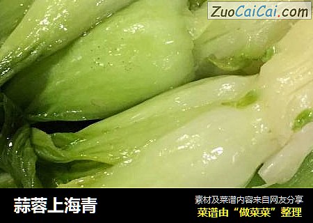 蒜蓉上海青