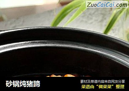 砂锅炖猪蹄