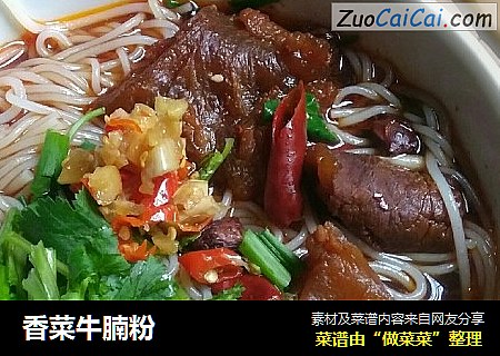 香菜牛腩粉