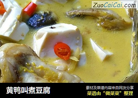 黄鸭叫煮豆腐