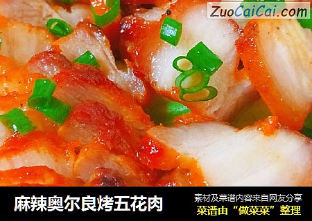 麻辣奥尔良烤五花肉