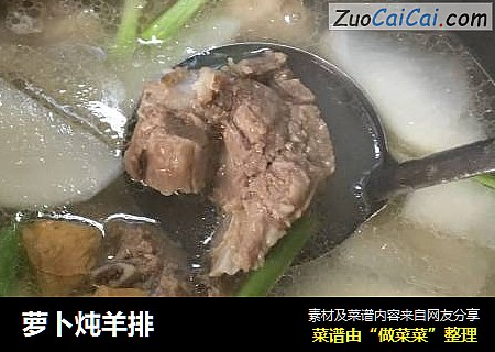 萝卜炖羊排