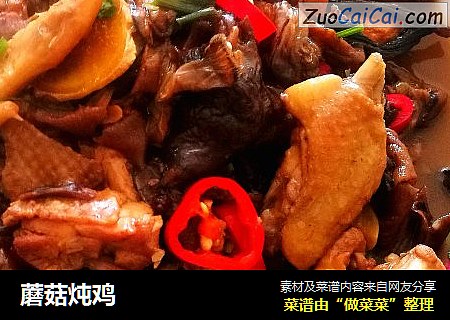 蘑菇炖鸡