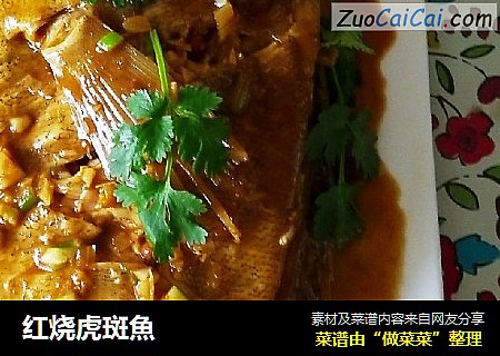 红烧虎斑魚