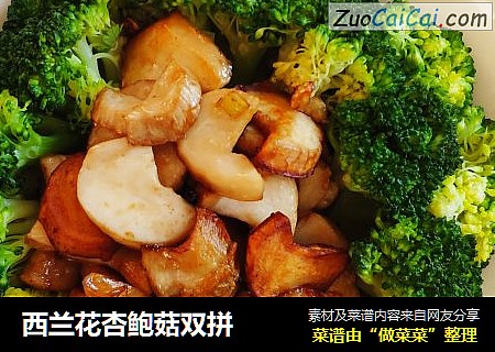 西兰花杏鲍菇双拼