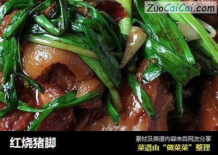 红烧猪脚
