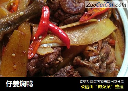 仔姜焖鸭
