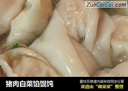 猪肉白菜馅馄饨