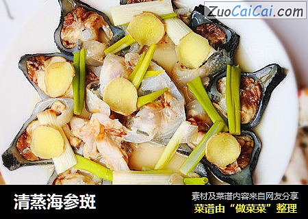 清蒸海参斑