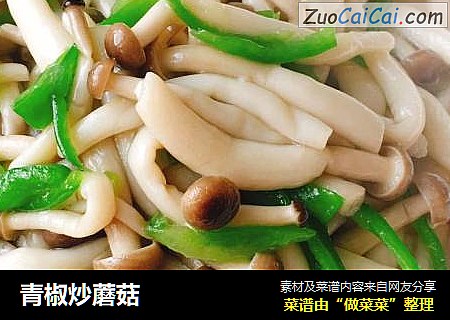 青椒炒蘑菇