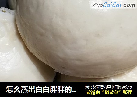 怎么蒸出白白胖胖的馒头