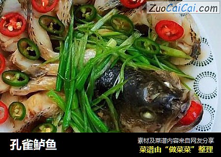 孔雀鲈鱼