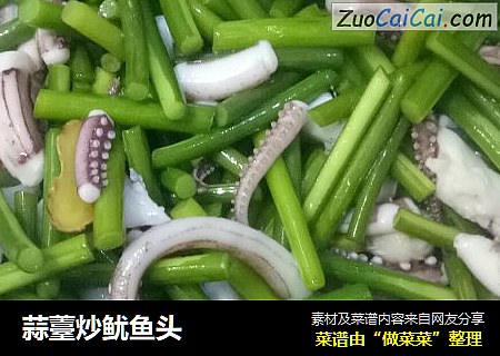 蒜薹炒鱿鱼头