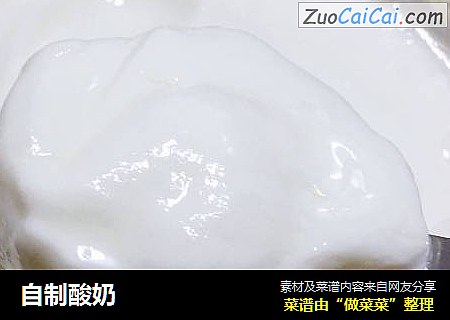 自制酸奶