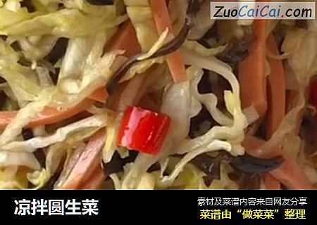 凉拌圆生菜