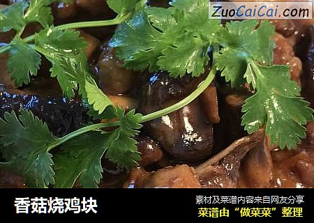 香菇烧鸡块