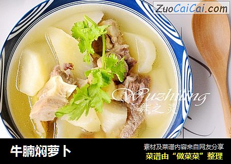 牛腩焖萝卜
