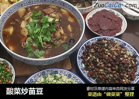 酸菜炒苗豆