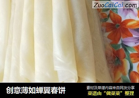 创意薄如蝉翼春饼