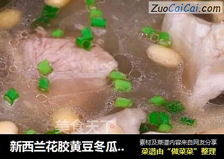 新西兰花胶黄豆冬瓜排骨汤