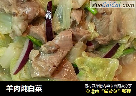 羊肉炖白菜
