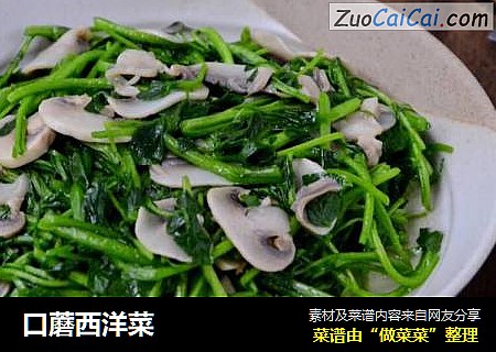 口蘑西洋菜