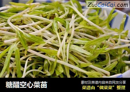 糖醋空心菜苗