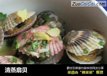 清蒸扇贝