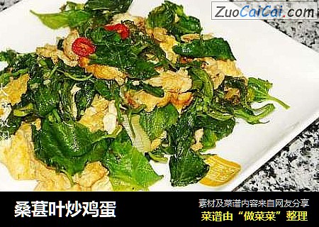 桑葚叶炒鸡蛋