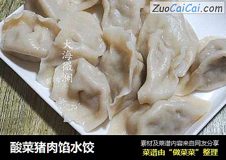 酸菜猪肉馅水饺