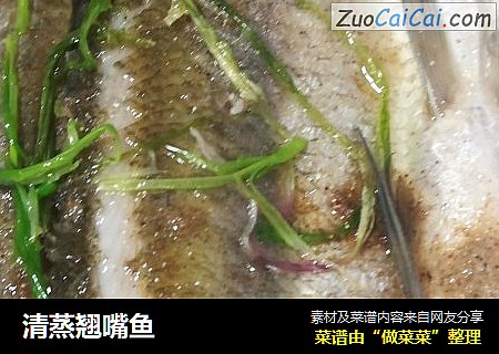 清蒸翘嘴鱼