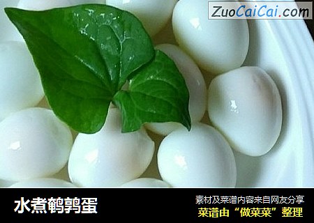 水煮鹌鹑蛋