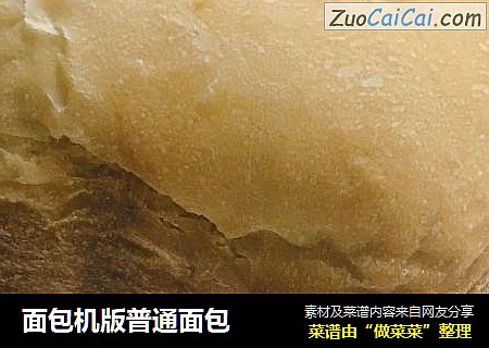 面包机版普通面包
