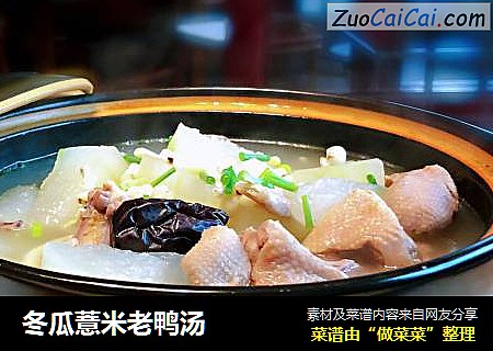 冬瓜薏米老鸭汤