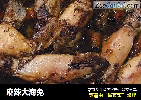 麻辣大海兔