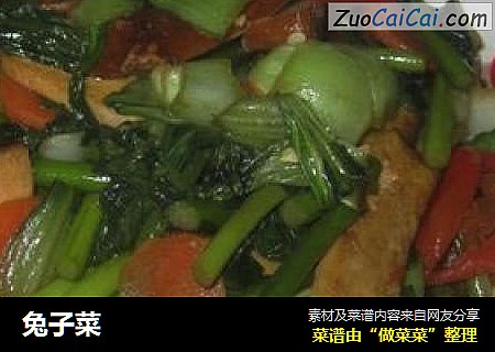 兔子菜