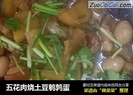 五花肉烧土豆鹌鹑蛋
