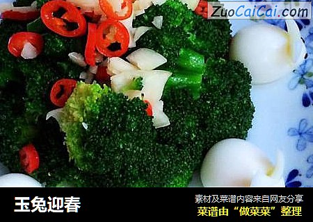 玉兔迎春