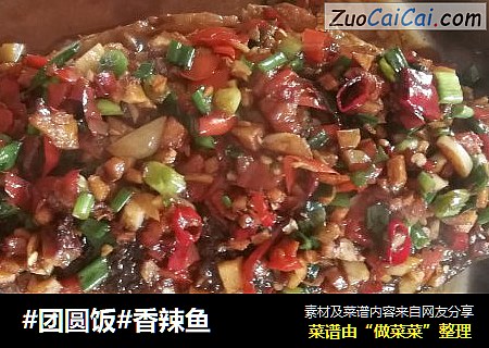 香辣鱼cover-4