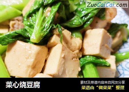菜心烧豆腐